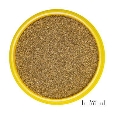 JBL PRONOVO NEON GRANO XXS 100ml
